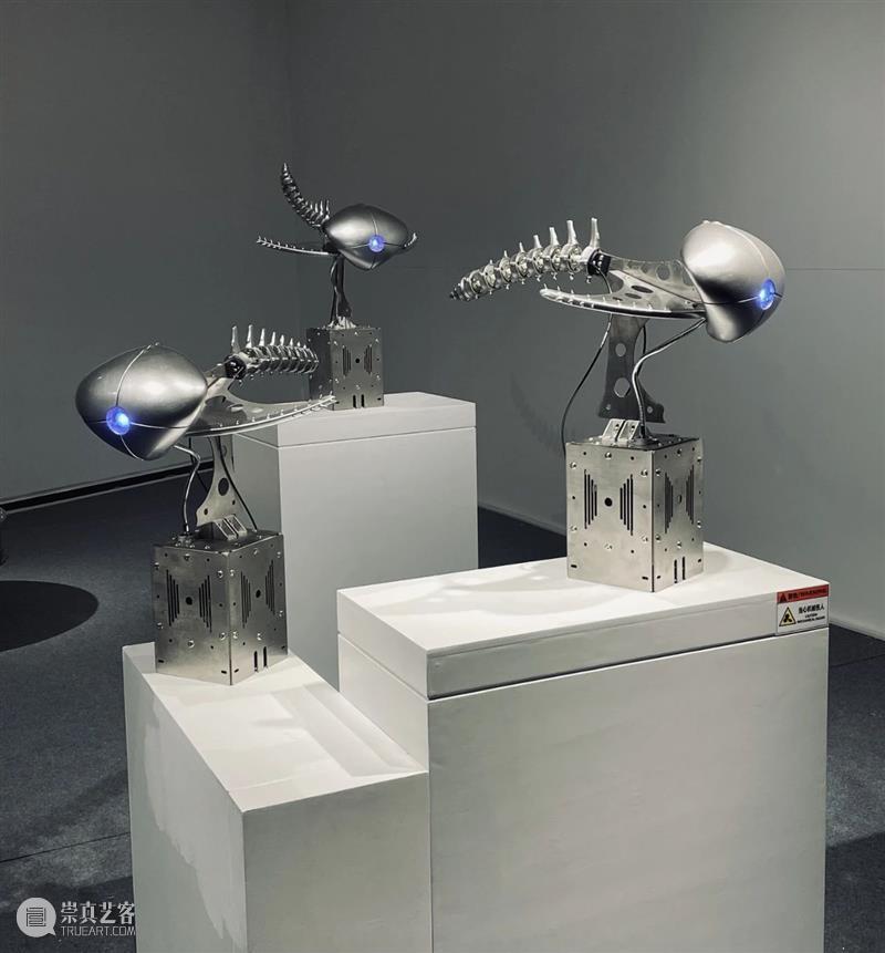 ABI青推|艺术家 滕家琪 滕家琪 艺术家 ABI青 热爱生机盎然 系列 作品 缘起 创造力 一个观念 艺术 崇真艺客