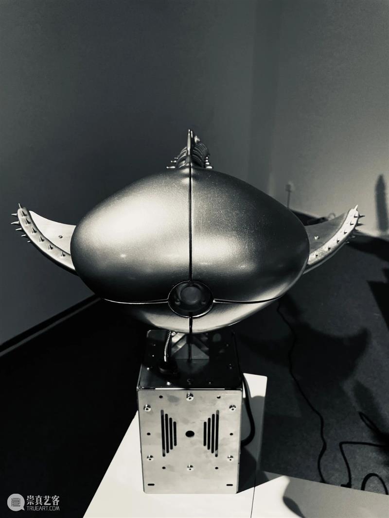 ABI青推|艺术家 滕家琪 滕家琪 艺术家 ABI青 热爱生机盎然 系列 作品 缘起 创造力 一个观念 艺术 崇真艺客