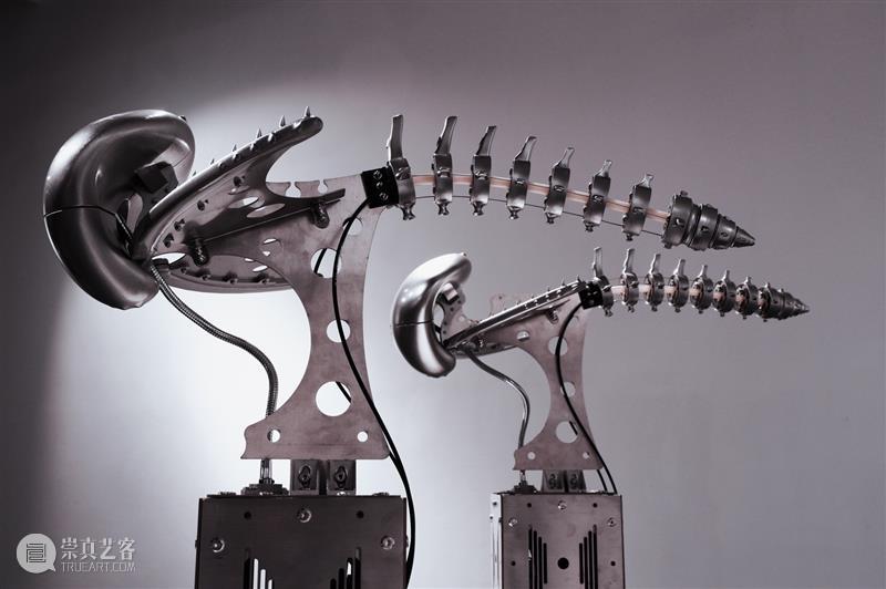 ABI青推|艺术家 滕家琪 滕家琪 艺术家 ABI青 热爱生机盎然 系列 作品 缘起 创造力 一个观念 艺术 崇真艺客