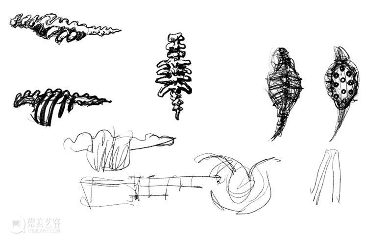 ABI青推|艺术家 滕家琪 滕家琪 艺术家 ABI青 热爱生机盎然 系列 作品 缘起 创造力 一个观念 艺术 崇真艺客