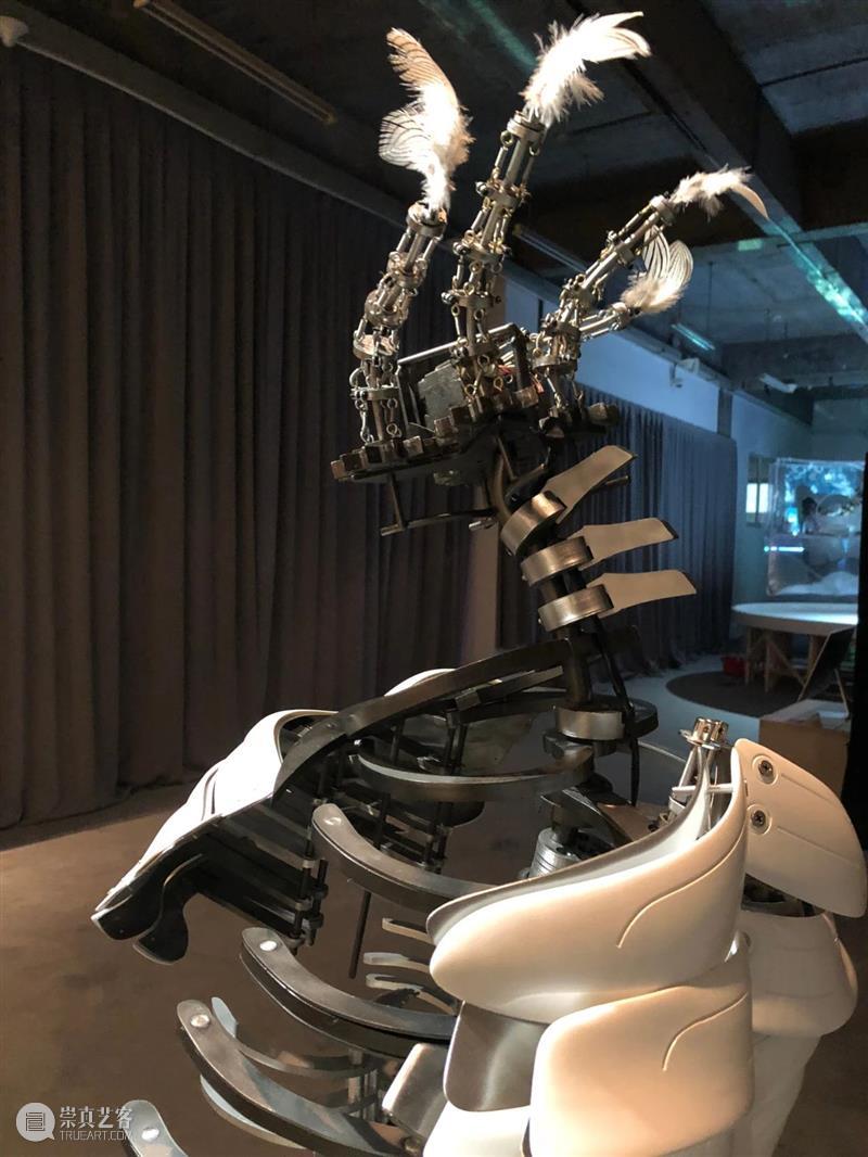 ABI青推|艺术家 滕家琪 滕家琪 艺术家 ABI青 热爱生机盎然 系列 作品 缘起 创造力 一个观念 艺术 崇真艺客