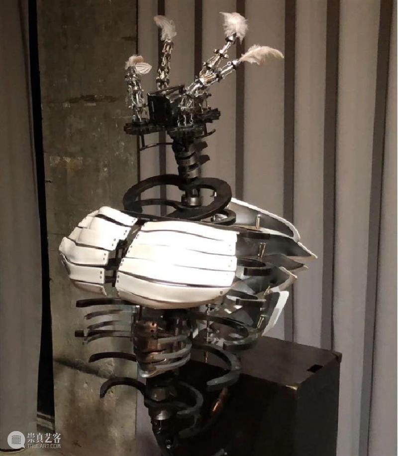 ABI青推|艺术家 滕家琪 滕家琪 艺术家 ABI青 热爱生机盎然 系列 作品 缘起 创造力 一个观念 艺术 崇真艺客