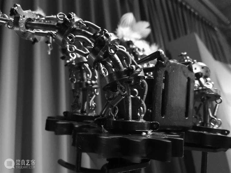 ABI青推|艺术家 滕家琪 滕家琪 艺术家 ABI青 热爱生机盎然 系列 作品 缘起 创造力 一个观念 艺术 崇真艺客