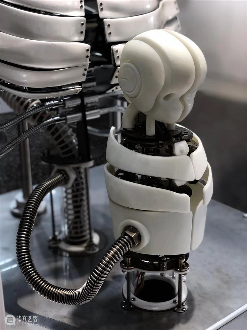 ABI青推|艺术家 滕家琪 滕家琪 艺术家 ABI青 热爱生机盎然 系列 作品 缘起 创造力 一个观念 艺术 崇真艺客