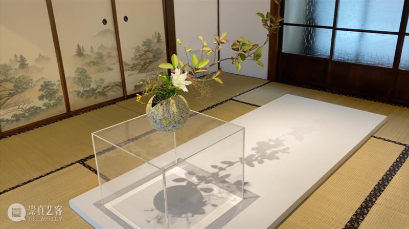 离尘. 短片 | 给花穿上陶瓷衣 短片 陶瓷 索卡 陆斌 个展 意味 形式 Form NudeFlower 形式感 崇真艺客