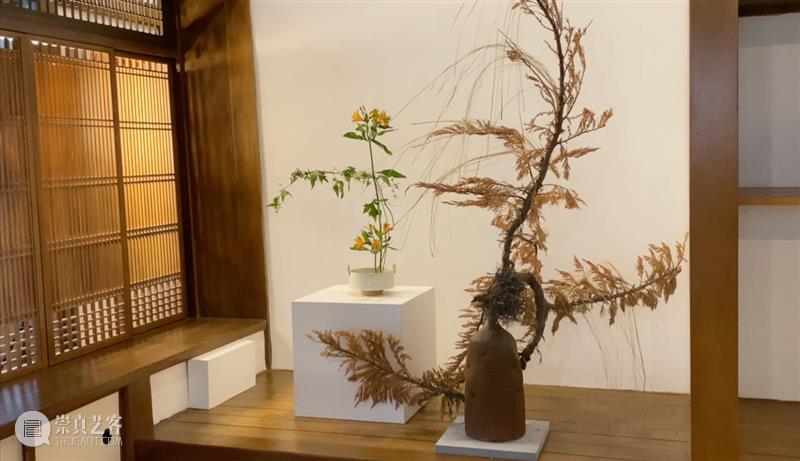 离尘. 短片 | 给花穿上陶瓷衣 短片 陶瓷 索卡 陆斌 个展 意味 形式 Form NudeFlower 形式感 崇真艺客