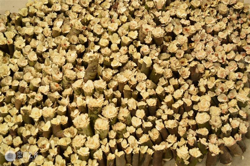 【GCA】《个体的寓言》艺术家推介丨第 I 期 崇真艺客