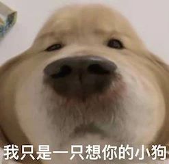 入围戛纳中国短片《雪云》曝预告；罗伯特·唐尼一世去世 戛纳 短片 雪云 中国 罗伯特·唐尼 一世 影视 好剧 小豆 资讯 崇真艺客