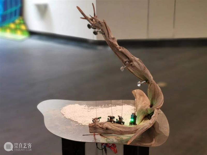 毕业季 | 2021广州美术学院雕塑与公共艺术学院研究生毕业作品展 广州美术学院 研究生 作品展 雕塑 艺术 毕业季 学院 上方 中国舞台美术学会 右上 崇真艺客