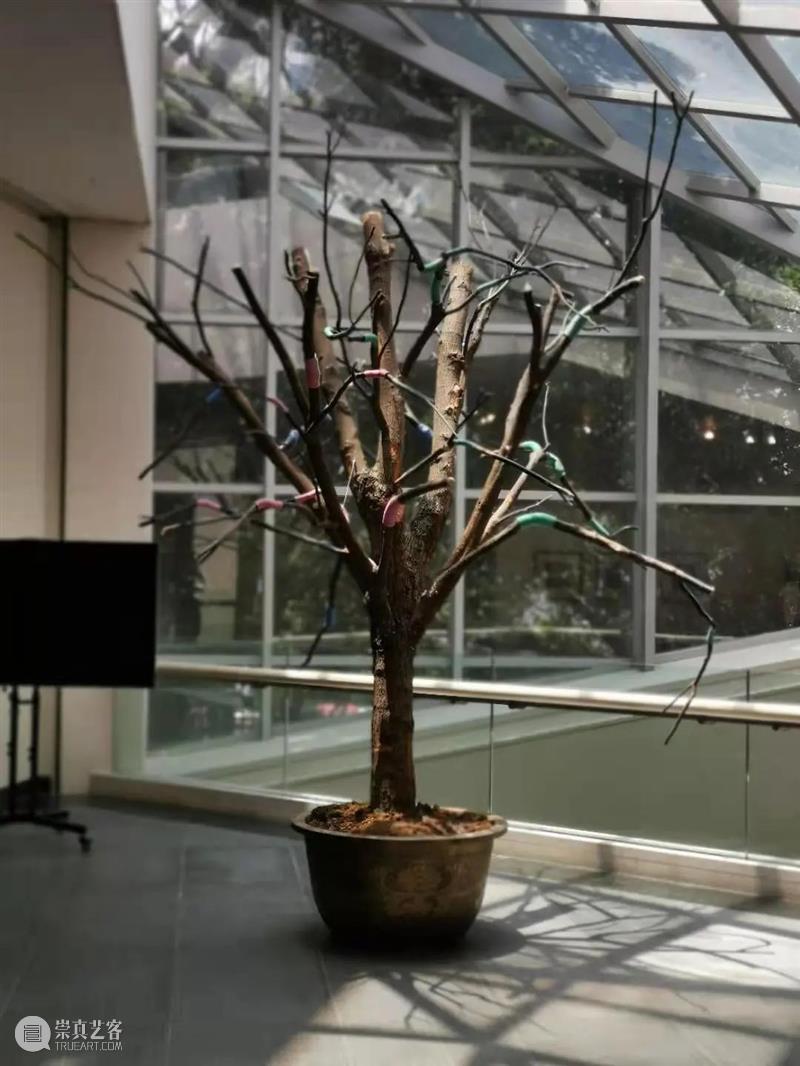 毕业季 | 2021广州美术学院雕塑与公共艺术学院研究生毕业作品展 广州美术学院 研究生 作品展 雕塑 艺术 毕业季 学院 上方 中国舞台美术学会 右上 崇真艺客