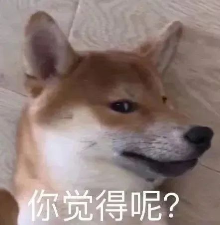 朱一龙《人生大事》发布新预告；新版《绯闻女孩》上线 朱一龙 人生大事 新版 绯闻女孩 影视 好剧 小豆 资讯 豆瓣 电影 崇真艺客