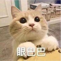 朱一龙《人生大事》发布新预告；新版《绯闻女孩》上线 朱一龙 人生大事 新版 绯闻女孩 影视 好剧 小豆 资讯 豆瓣 电影 崇真艺客