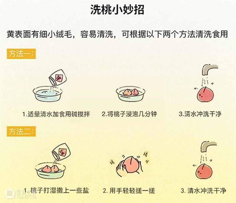 黄桃,你还只吃过罐头里的吗? 黄桃 罐头 黄桃罐头 市面上 桃香 暴力 厂家 口感 黄金 品种 崇真艺客