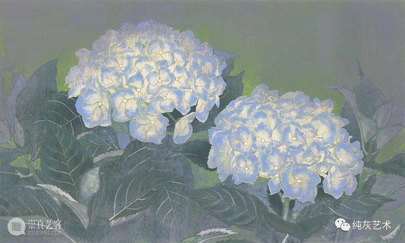 飞禽走兽花鸟鱼虫 飞禽走兽 花鸟 鱼虫 日本 水彩 画家 幸亮太 RYOTA 笔触 动态 崇真艺客