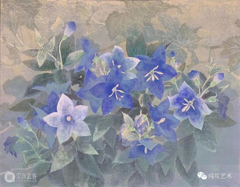 飞禽走兽花鸟鱼虫 飞禽走兽 花鸟 鱼虫 日本 水彩 画家 幸亮太 RYOTA 笔触 动态 崇真艺客