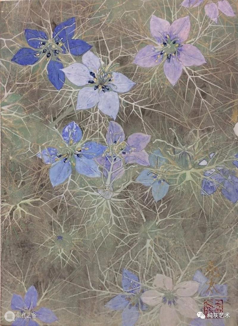 飞禽走兽花鸟鱼虫 飞禽走兽 花鸟 鱼虫 日本 水彩 画家 幸亮太 RYOTA 笔触 动态 崇真艺客
