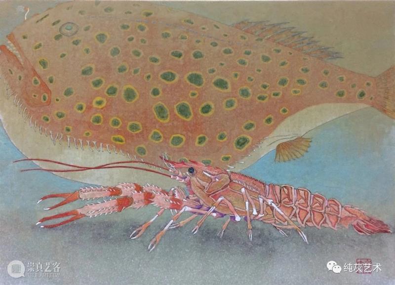 飞禽走兽花鸟鱼虫 飞禽走兽 花鸟 鱼虫 日本 水彩 画家 幸亮太 RYOTA 笔触 动态 崇真艺客