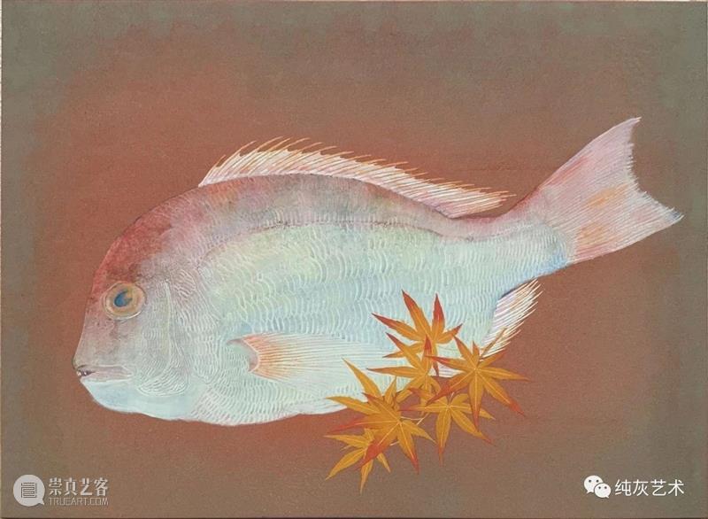 飞禽走兽花鸟鱼虫 飞禽走兽 花鸟 鱼虫 日本 水彩 画家 幸亮太 RYOTA 笔触 动态 崇真艺客