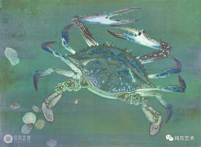 飞禽走兽花鸟鱼虫 飞禽走兽 花鸟 鱼虫 日本 水彩 画家 幸亮太 RYOTA 笔触 动态 崇真艺客