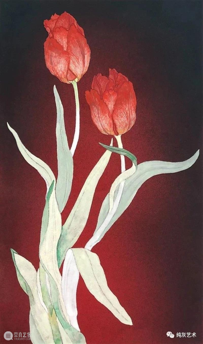 飞禽走兽花鸟鱼虫 飞禽走兽 花鸟 鱼虫 日本 水彩 画家 幸亮太 RYOTA 笔触 动态 崇真艺客