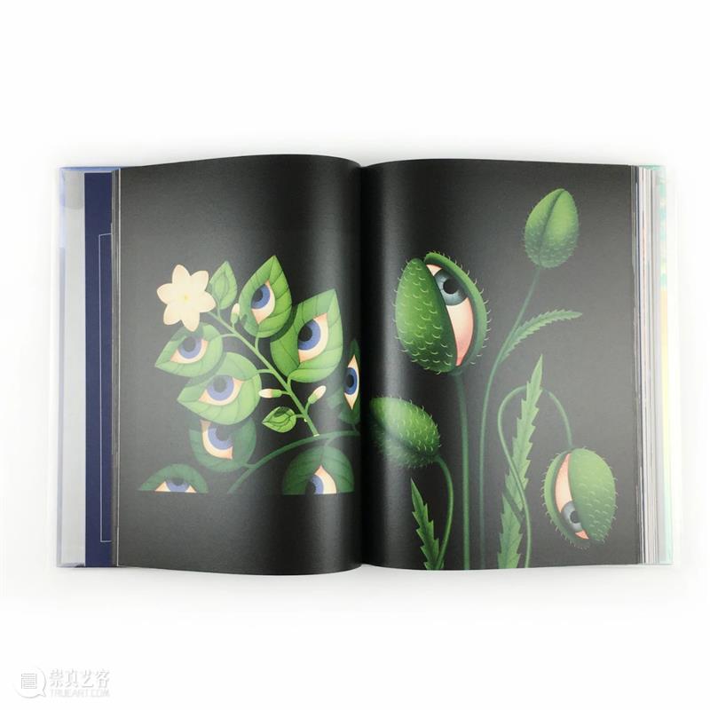 视觉推书 | 7月插画上新！ 视觉 插画 书上 系列 插画集 人气 全文 BOOK 书名 作者 崇真艺客