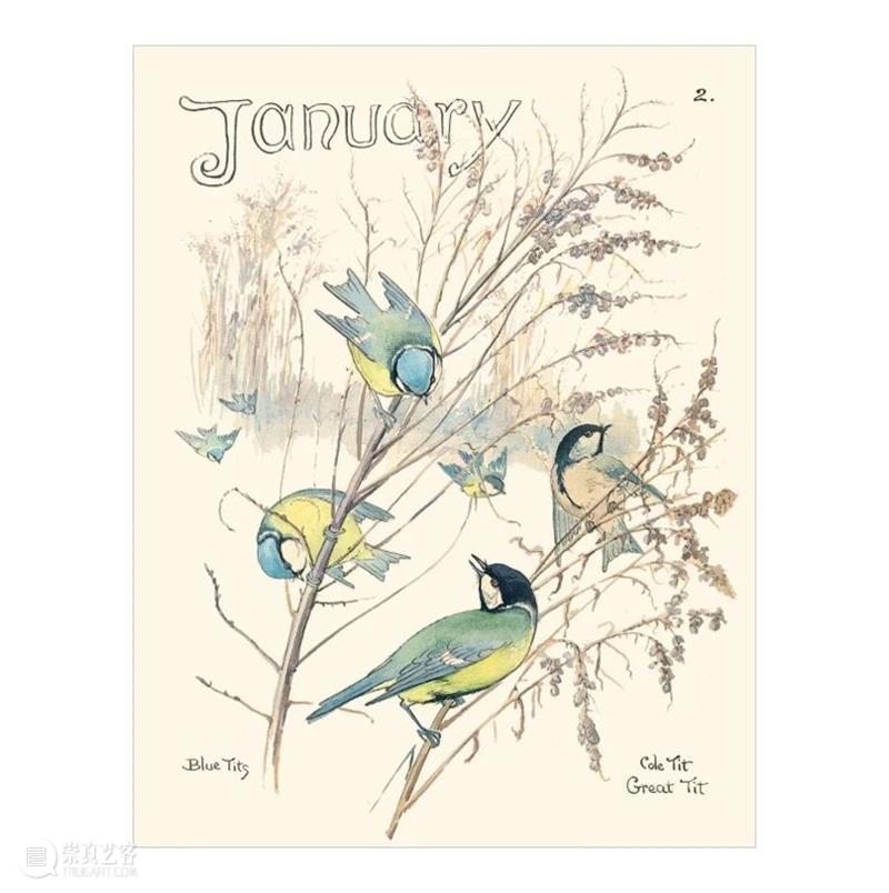 视觉推书 | 7月插画上新！ 视觉 插画 书上 系列 插画集 人气 全文 BOOK 书名 作者 崇真艺客