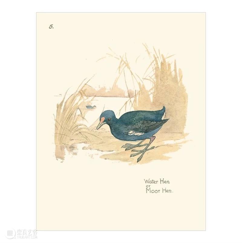 视觉推书 | 7月插画上新！ 视觉 插画 书上 系列 插画集 人气 全文 BOOK 书名 作者 崇真艺客