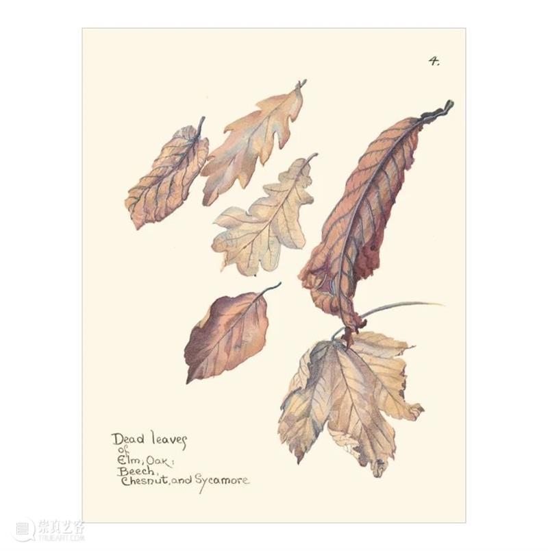 视觉推书 | 7月插画上新！ 视觉 插画 书上 系列 插画集 人气 全文 BOOK 书名 作者 崇真艺客