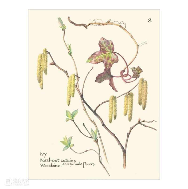 视觉推书 | 7月插画上新！ 视觉 插画 书上 系列 插画集 人气 全文 BOOK 书名 作者 崇真艺客