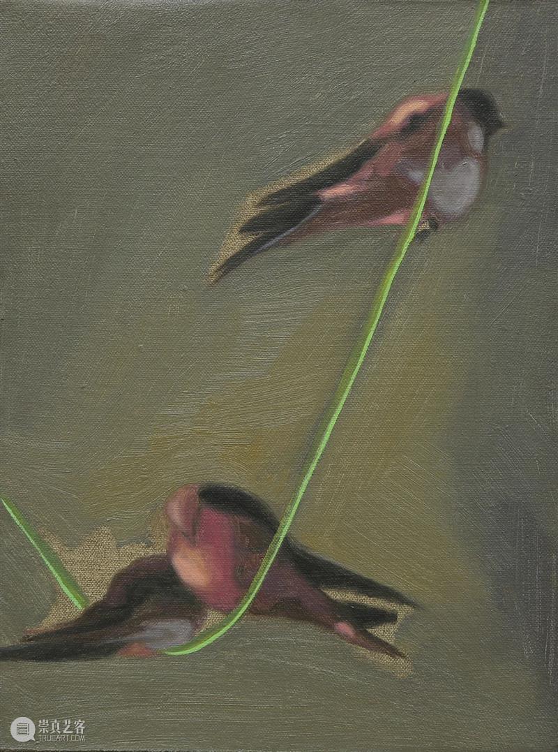 看画｜抽象中的真实：赵兵《夜晚是骄傲的波浪》 赵兵 夜晚 波浪 个展 展期 Opening 地点 Location 艺术 空间 崇真艺客