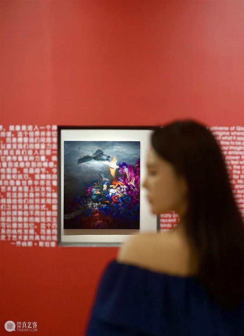 倒计时5天|藏着“最佳偷窥点位”的展览，你知道吗？ 点位 我的花园 钱纲 画展 魔都 观众 视线 超现实主义 艺术家 国内 崇真艺客