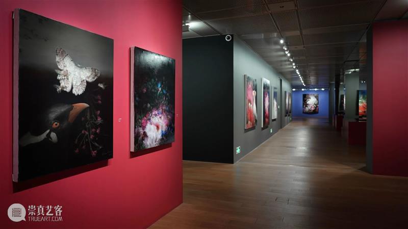 倒计时5天|藏着“最佳偷窥点位”的展览，你知道吗？ 点位 我的花园 钱纲 画展 魔都 观众 视线 超现实主义 艺术家 国内 崇真艺客