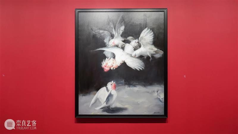 倒计时5天|藏着“最佳偷窥点位”的展览，你知道吗？ 点位 我的花园 钱纲 画展 魔都 观众 视线 超现实主义 艺术家 国内 崇真艺客