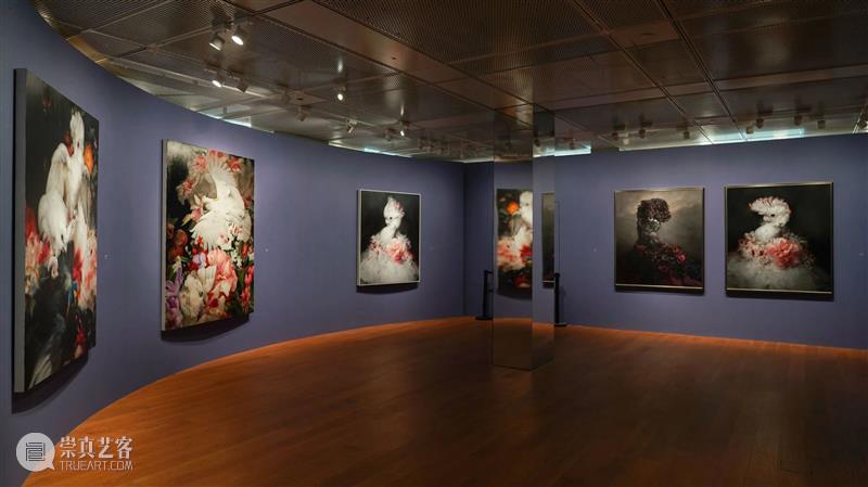 倒计时5天|藏着“最佳偷窥点位”的展览，你知道吗？ 点位 我的花园 钱纲 画展 魔都 观众 视线 超现实主义 艺术家 国内 崇真艺客