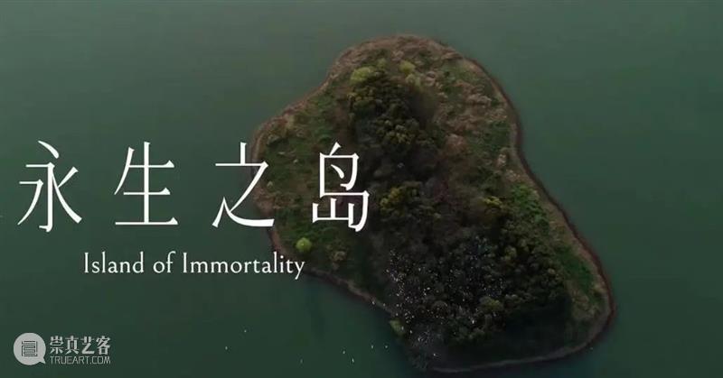 深度导读 | 上海民生美术馆徐跋骋个展「永生之象」| 明日下午4点开幕 崇真艺客