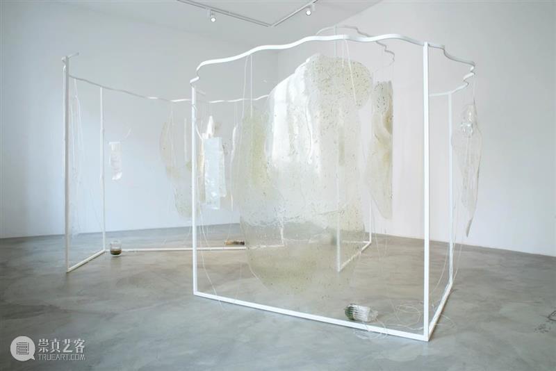 iglass2021当前现实|Julija Pociūtė iglass 当前 现实 Julija Pociūt Rogers Inguna Audere 艺术家 作品 崇真艺客