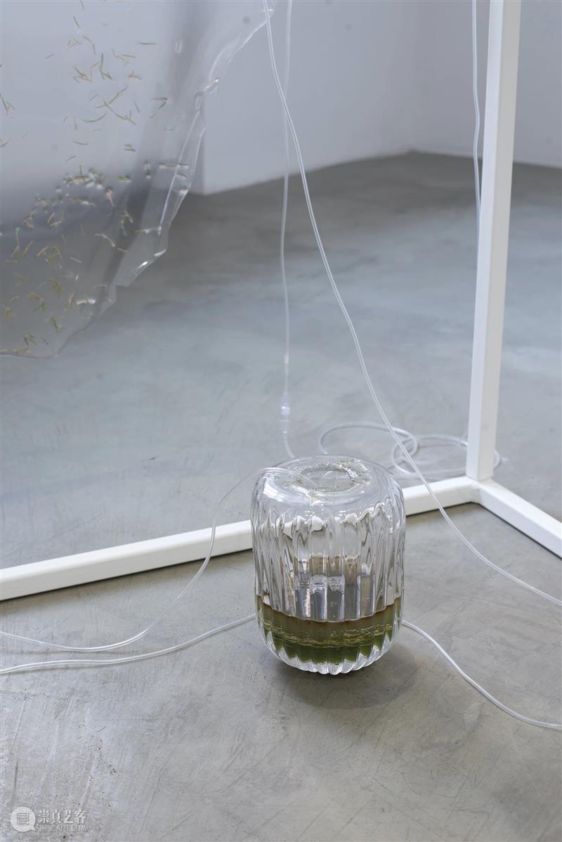 iglass2021当前现实|Julija Pociūtė iglass 当前 现实 Julija Pociūt Rogers Inguna Audere 艺术家 作品 崇真艺客