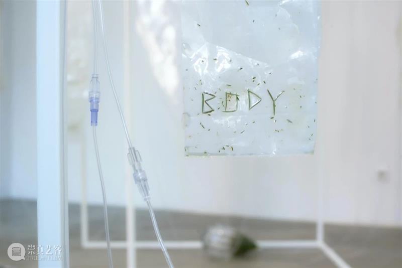 iglass2021当前现实|Julija Pociūtė iglass 当前 现实 Julija Pociūt Rogers Inguna Audere 艺术家 作品 崇真艺客