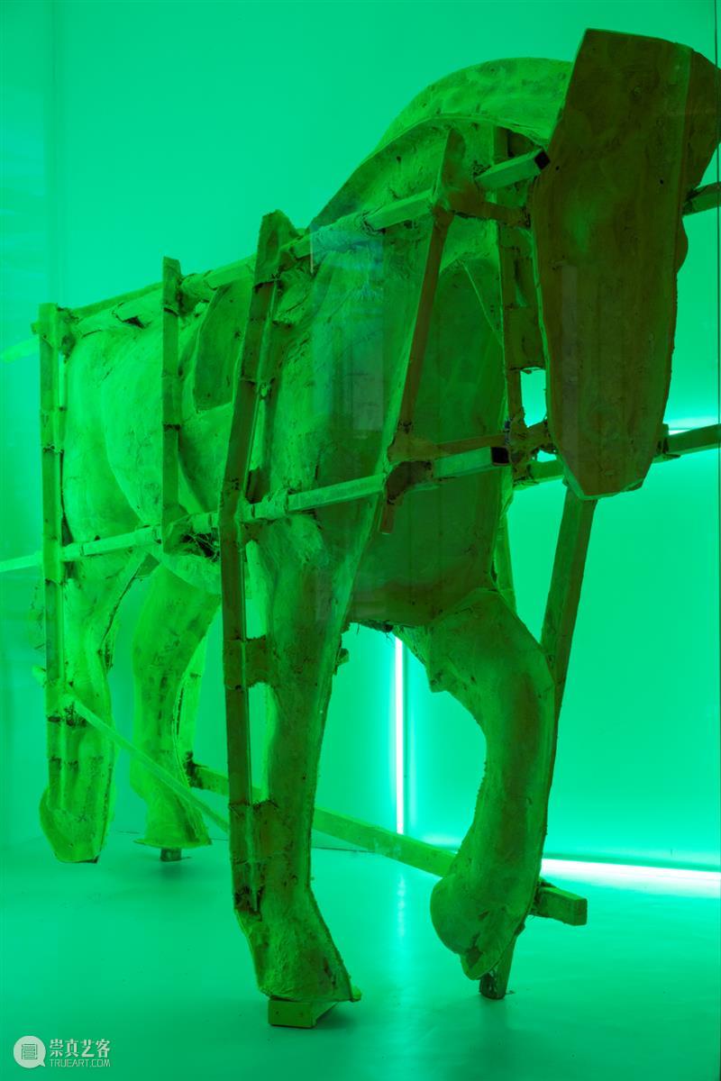 展评 | 康甲的枚举与常量——康甲的实践2009-2021 崇真艺客