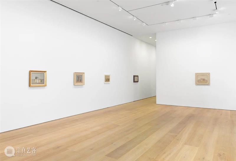 今日生日｜乔治·莫兰迪（Giorgio Morandi） 乔治·莫兰迪 Morandi 生日 花卉 布面 油画 厘米 博洛尼亚 工作室 Lionni 崇真艺客