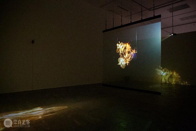 一年之际 | 阿彼察邦作品《烟火（风扇）》  香格纳画廊 作品 烟火 风扇 阿彼察邦 香格纳 北京 章节 项目 艺术家 陆垒 崇真艺客