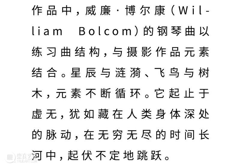 新潮动力 | 新媒体艺术：光怪陆离，时空交错 动力 新媒体 艺术 节选 视觉 音乐 作品 无垠之河 爱美丽节选自动画作品 诗歌 崇真艺客