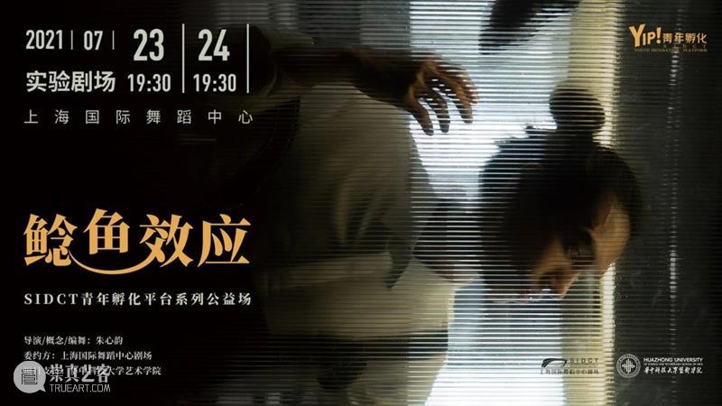 电子节目册｜国舞剧场委约作品《鲶鱼效应》，一场真实好友间的剧本杀 鲶鱼效应 作品 好友 剧本 电子 节目 册｜国舞剧场委约 宣传片 国舞剧场委约 舞蹈 崇真艺客