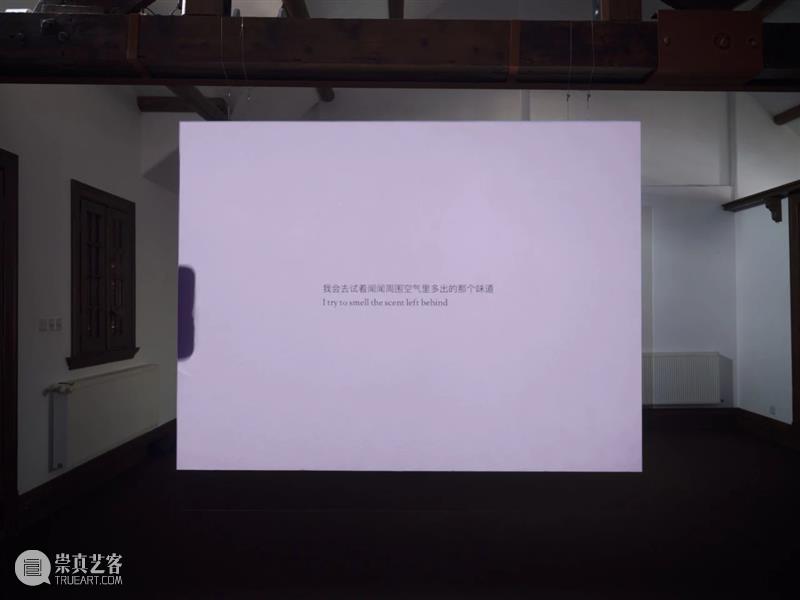 Exhibition View | Peng Zuqiang: Hesitations Zuqiang View Hesitations 保联 keep touch and video Super film 崇真艺客
