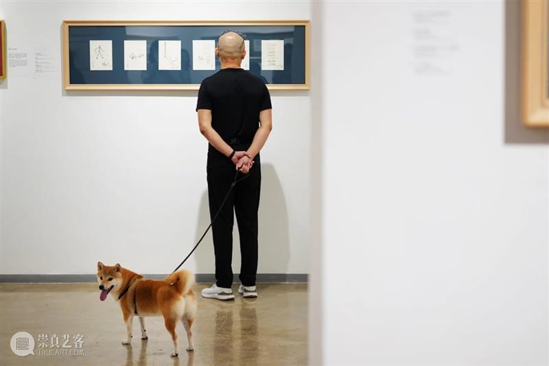 《迷迷呼呼爱艺术——程木林漫画及雕塑作品展》亮相于深圳桥舍画廊 迷迷呼呼爱艺术 程木林 漫画 雕塑 作品 深圳 桥舍画廊 3∶00 爱从 欢心桥 崇真艺客