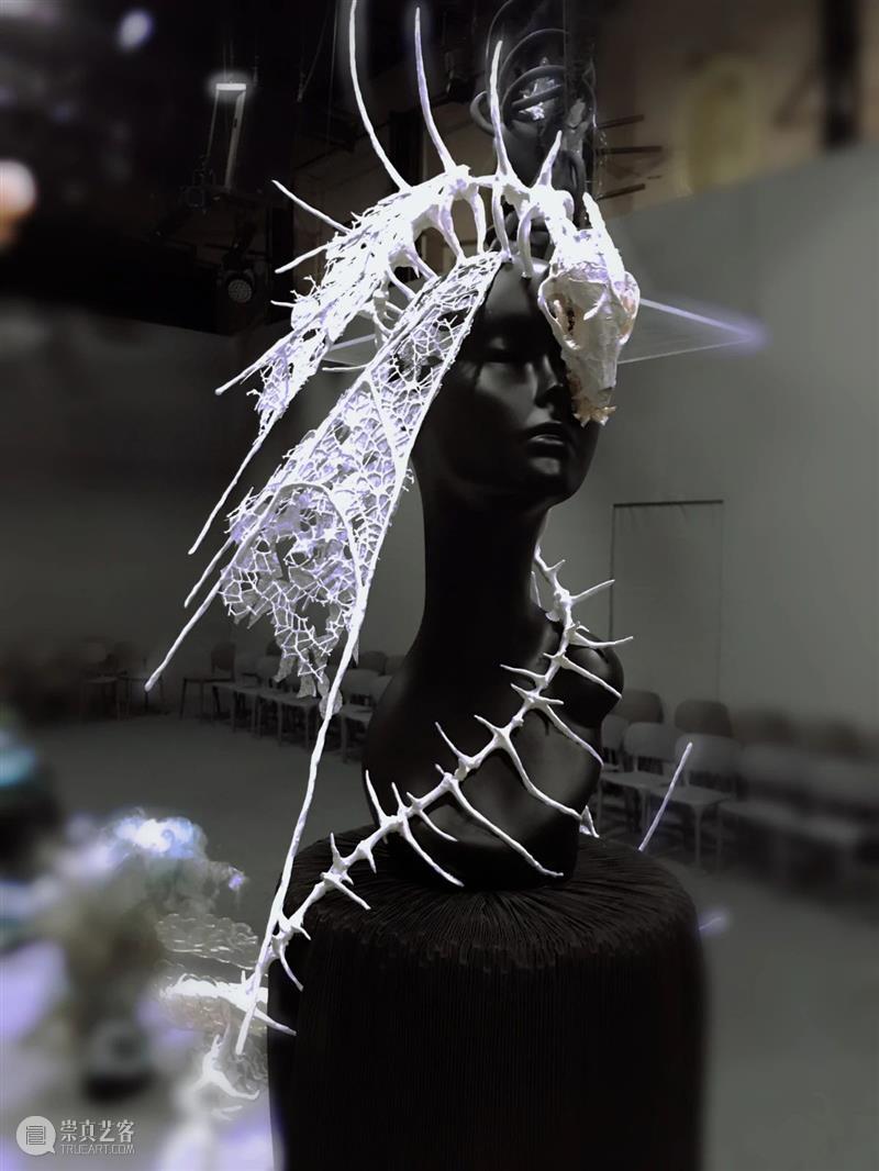 分享丨2021上海戏剧学院艺术季艺术造型展演 上海戏剧学院 艺术季 艺术 造型 上方 中国舞台美术学会 右上 星标 本文 上海 崇真艺客