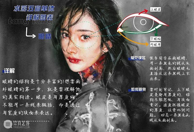 超干！水彩五官单体详解图表 水彩 五官 单体 图表 详解 人像 技巧 艺术 氛围感 前方 崇真艺客