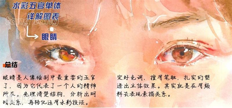 超干！水彩五官单体详解图表 水彩 五官 单体 图表 详解 人像 技巧 艺术 氛围感 前方 崇真艺客