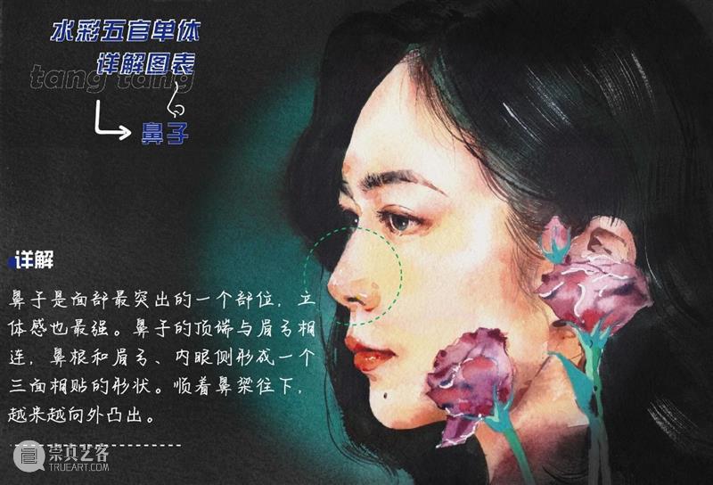 超干！水彩五官单体详解图表 水彩 五官 单体 图表 详解 人像 技巧 艺术 氛围感 前方 崇真艺客
