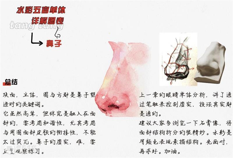 超干！水彩五官单体详解图表 水彩 五官 单体 图表 详解 人像 技巧 艺术 氛围感 前方 崇真艺客